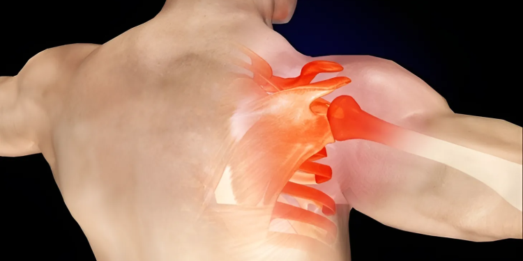 Cấu tạo khớp vai như thế nào? Những điều bạn cần biết