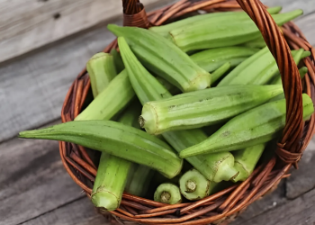 Cách chữa khô khớp bằng đậu bắp cực đơn giản, hiệu quả cao