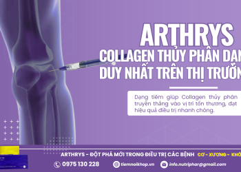 Arthrys – Collagen thủy phân dạng tiêm duy nhất trên thị trường