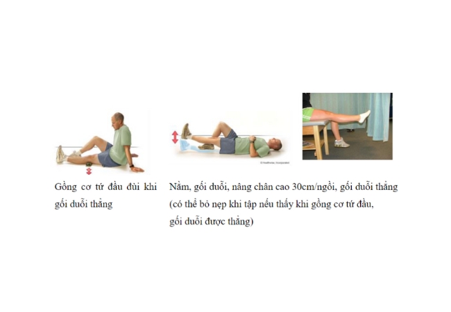 Các động tác tập cơ tứ đầu đùi