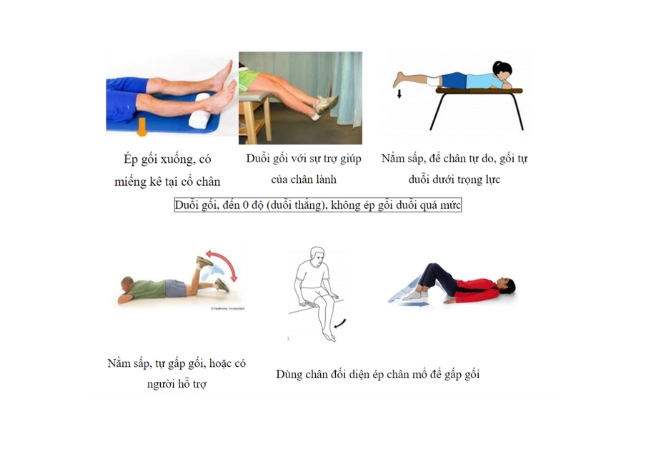Các động tác gấp duỗi gối