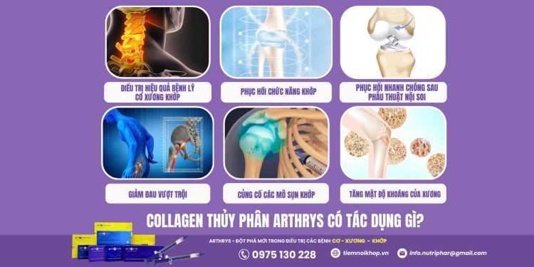 Collagen thủy phân Arthrys có tác dụng gì?