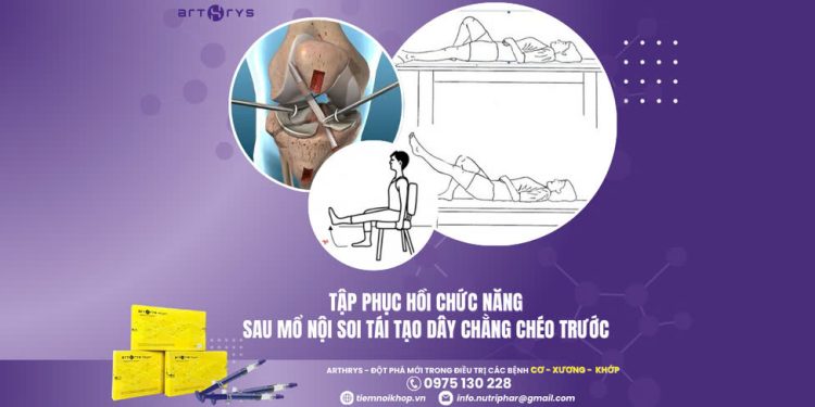 Tập phục hồi chức năng sau mổ nội soi tái tạo dây chằng chéo trước