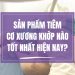 Sản phẩm tiêm Cơ Xương Khớp nào tốt nhất hiện nay?