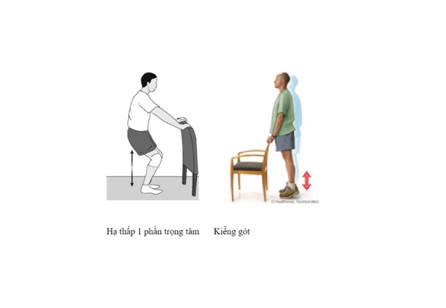 Bài tập tăng sức cơ