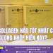 Collagen nào tốt nhất cho xương khớp hiện nay?