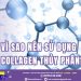 VÌ SAO NÊN SỬ DỤNG COLLAGEN THỦY PHÂN?