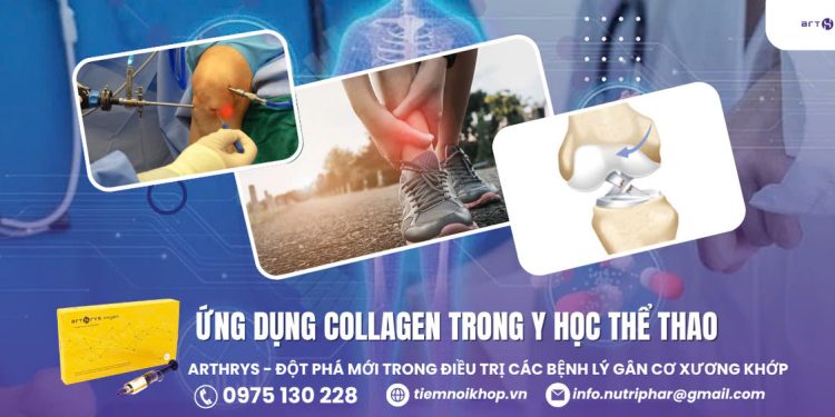 Ứng dụng Collagen trong Y học thể thao